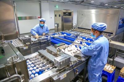 華蘭生物董事長(zhǎng)安康 研發(fā)不斷前行，新型疫苗與生物制品蓄勢(shì)待發(fā)