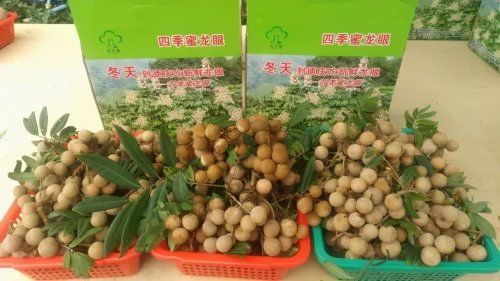 肇慶被確定為國家農產品質量安全市創建單位，躍居全省第三