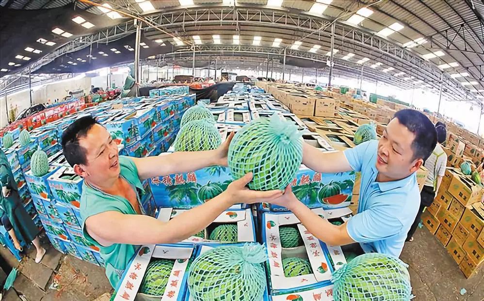強化食用農產品質量安全監管，市場監管部門這樣做